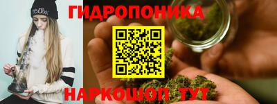 альфа пвп Кингисепп