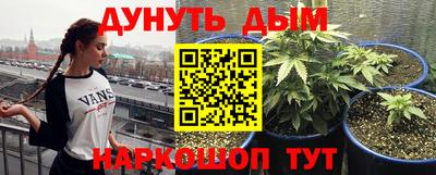 альфа пвп Кингисепп