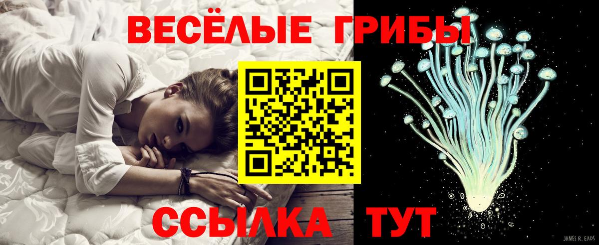 продажа наркотиков  Псилоцибиновые грибы Psilocybe  Вход с VPN  Кузнецк 