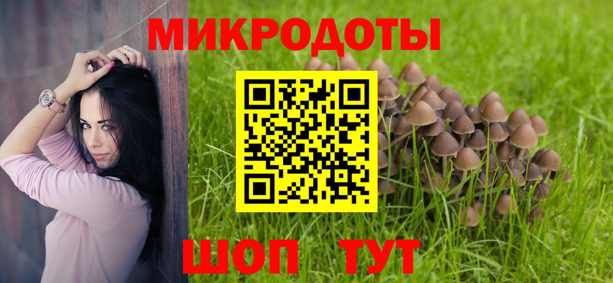 Галлюциногенные грибы Psilocybine cubensis Кузнецк